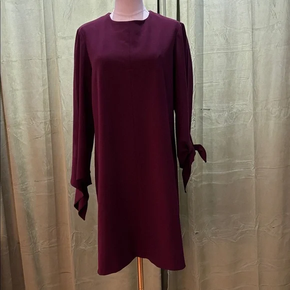 knee length dresses for ladies Tibi V-Neck Shirred Sleeve Dress in Black